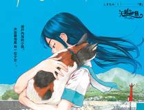 角色石昊